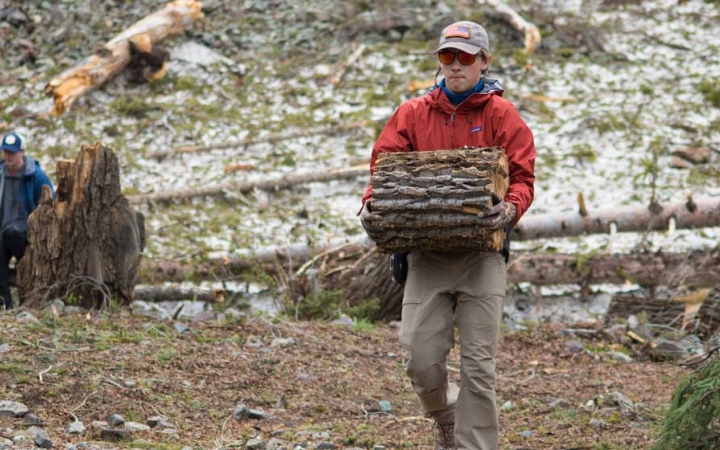 a person carries a stump during a service project with outward bound